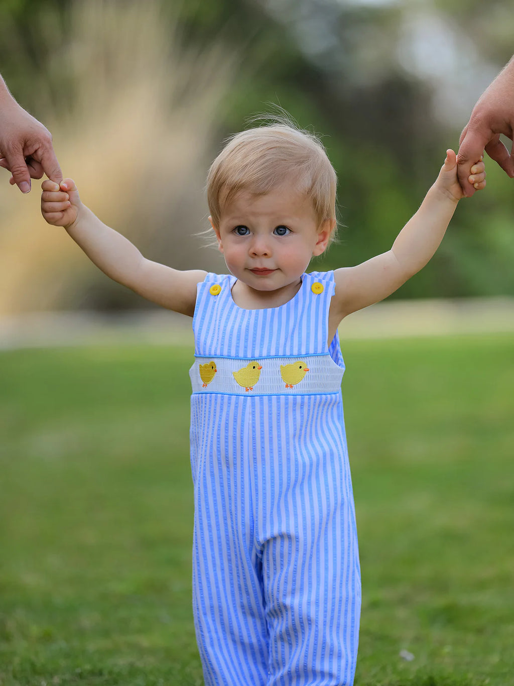 Spring & Summer Chicken Embroidery Blue Boy Romper